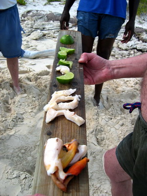 Yum.....that conch with a squirt of lime is as fresh as it gets!