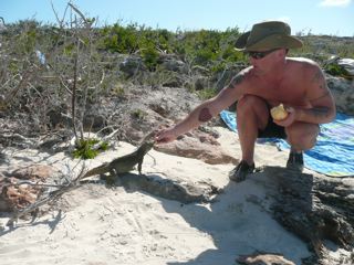 Friendly iguana on Bay Cay just off the marina at Harbour Club Villas