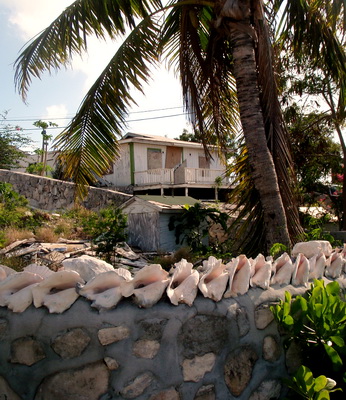 A row of conch adorns the top of the wall surrounding these houses in The Bight