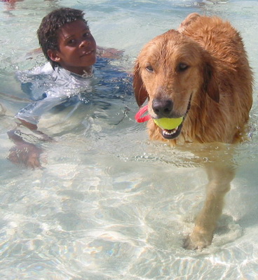A boy's best friend...........nothing better than a cooling dip in our super clear waters.