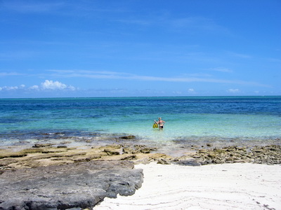 A snorkeler enters the sandy patch area before heading off to explore the underwater snorkel trail