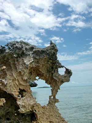 Unique cap rock formations are found along the south side of Providenciales. The iron shore makes for some great unusual photos.