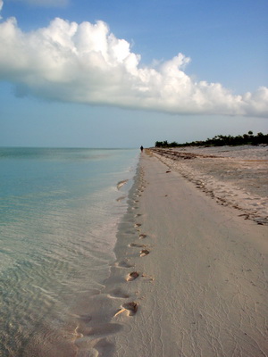 Footprints outlined in the sand along the shoreline