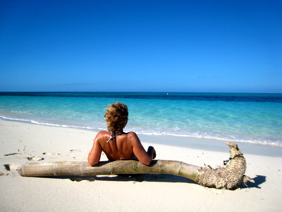 A large piece of bamboo forms a great backrest on one of the stretches of beach in the Bight