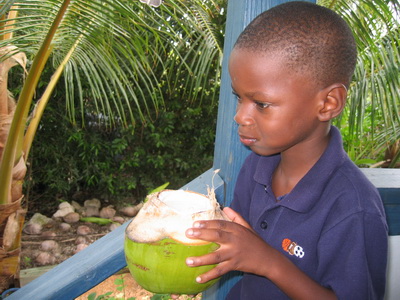 Olique has his first taste of coconut milk............hmm.....not too sure about it!