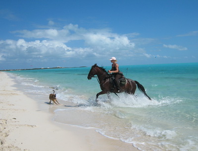 What a treat to see Provo Ponies' Camille and her group out at Long Bay beach.