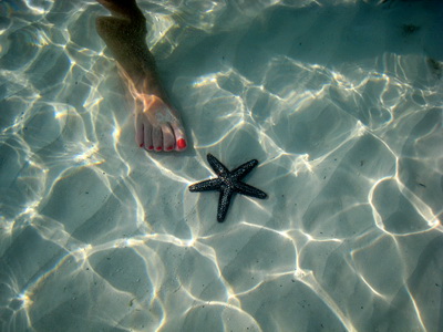 The sun's reflections, a small starfish and pretty painted toes. 