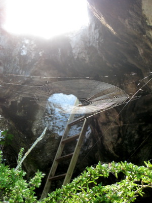 Spider's web with the ladder in the background to climb up ontop of the bluff.
