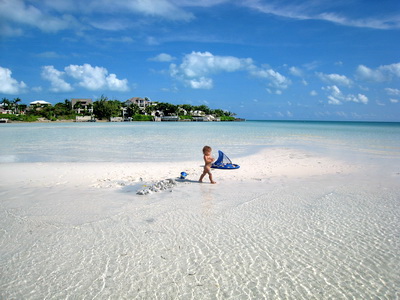 How lucky can she be.......a whole sandbar playground to herself!!