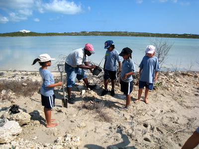 I would say that at least 30 mangrove saplings were planted this day.