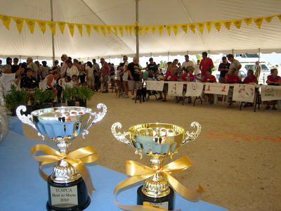 Top Dog trophy waiting for the winning dog announcement