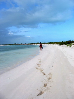 A lone figure strolls along a deserted stretch of beach........Our islands have the most amazing beaches of soft white sand and of course that turquoise water.