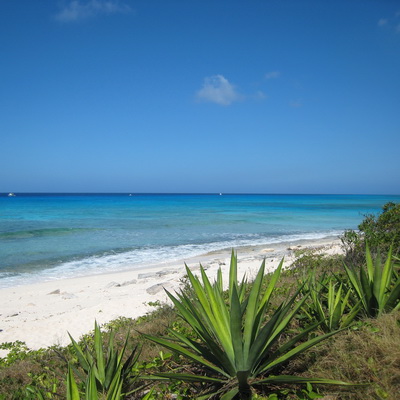 Malcolm Roads beach on Providenciales North West Point in the Turks and Caicos Islands
