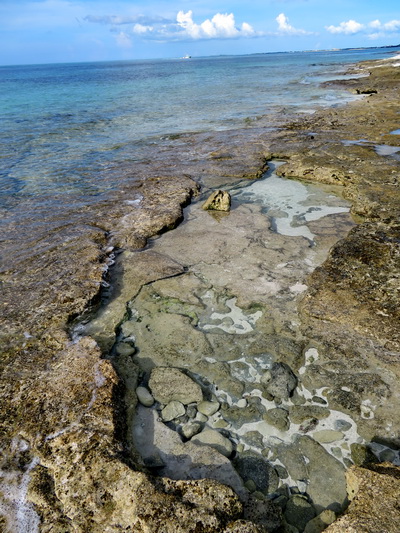 Tidal pools along the shore line at Smith's Reef