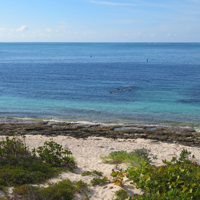 Smith's Reef on Providenciales is the best for snorkeling