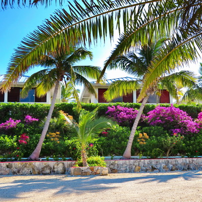 Villas at villa vacation rentals at Harbour Club Villas and Marina on Providenciales Turks and Caicos Islands