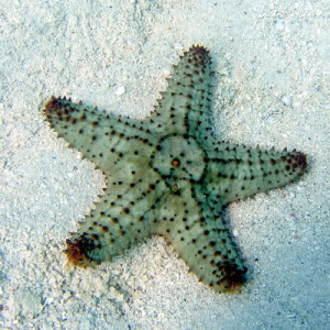 Bonefish Point | MyTurksAndCaicosBlog.com